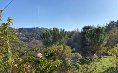 Heading Down The Perfume Trail