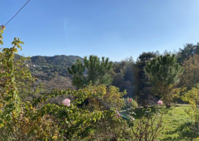 rose perfume factory